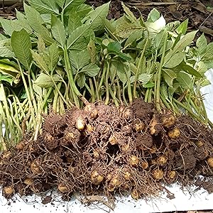 Small manufacture image 2