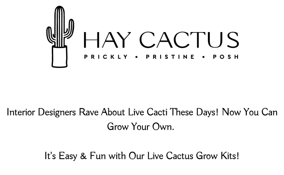 Designer Live Cactus Grow Kit Original Euphorbia Trigona