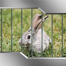 fence blockers for dogs animal barrier fence no dig no dig fencing underground dog fence