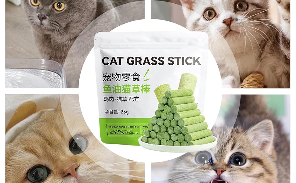 Pet Cat Grass Chewing Toy Chew Stick Indoor - Cat Treat Snack Stick | Cat Grass Sticks Snacks | Pet Supplies for Indoor and Outdoor Cat Kitten | Organic Cat Grass for Indoor Cats Best Cat Grass 11 Pet Cat Grass Chewing Toy