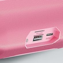 Portable Bluetooth Speaker