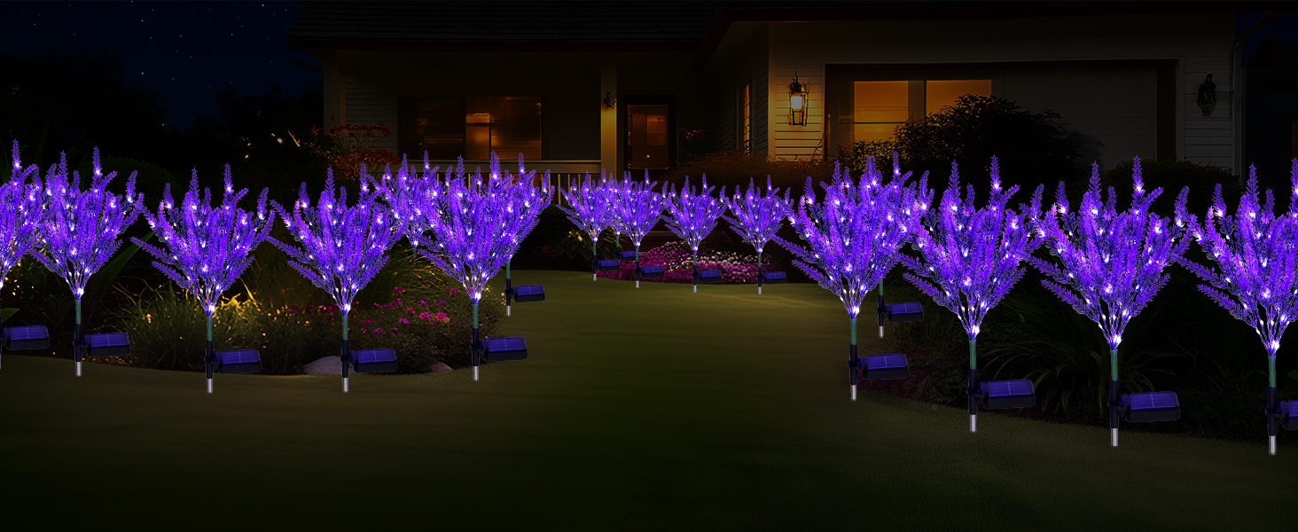 light up flowers outdoor