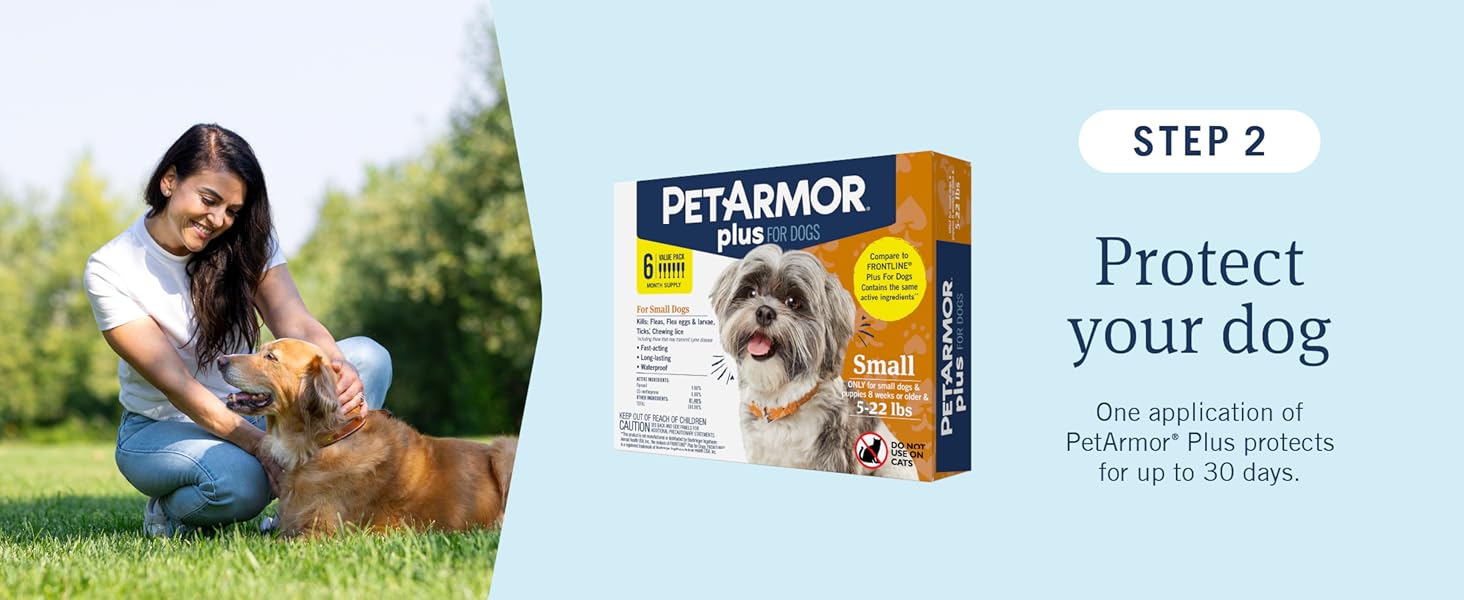 Step 2: Protect your dog