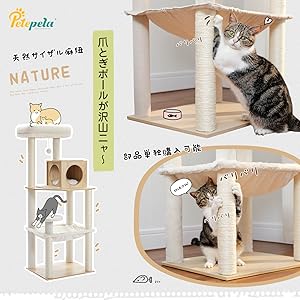 猫の塔