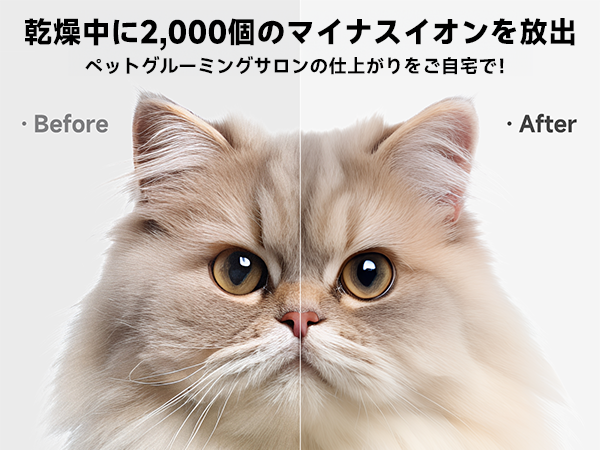 【温度・風力・時間＆細かく調節可能】2024新登場 ドライハウス Amazon | 【温度・風力・時間＆細かく調節可能】2024新登場