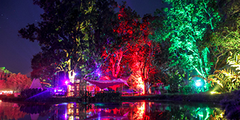 solar spotlights outdoor waterproof