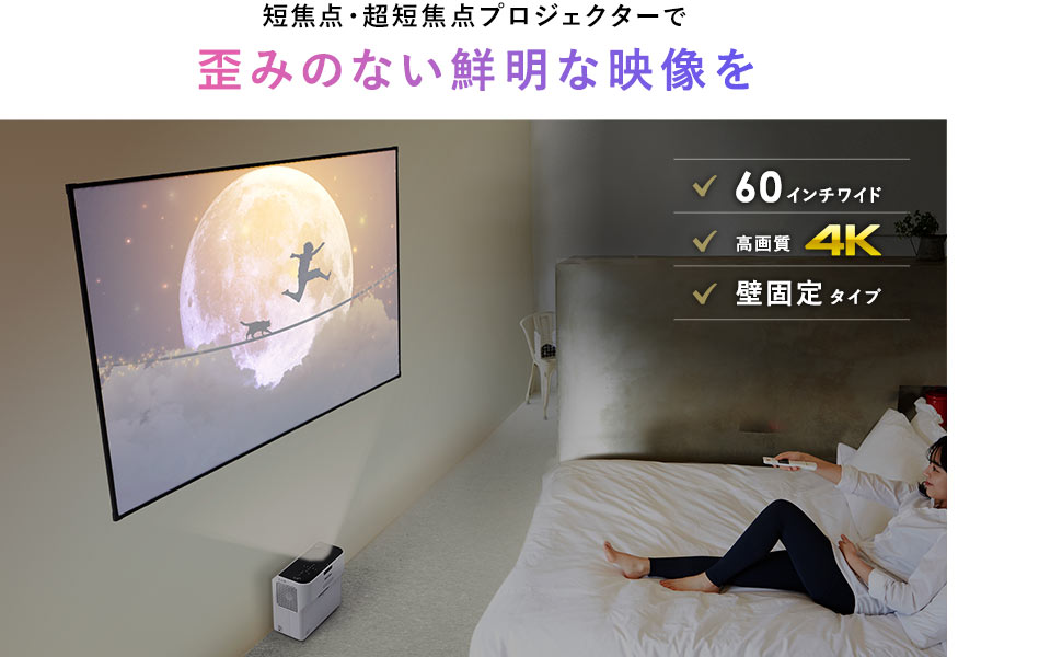 Amazon.co.jp: イーサプライ プロジェクタースクリーン 60