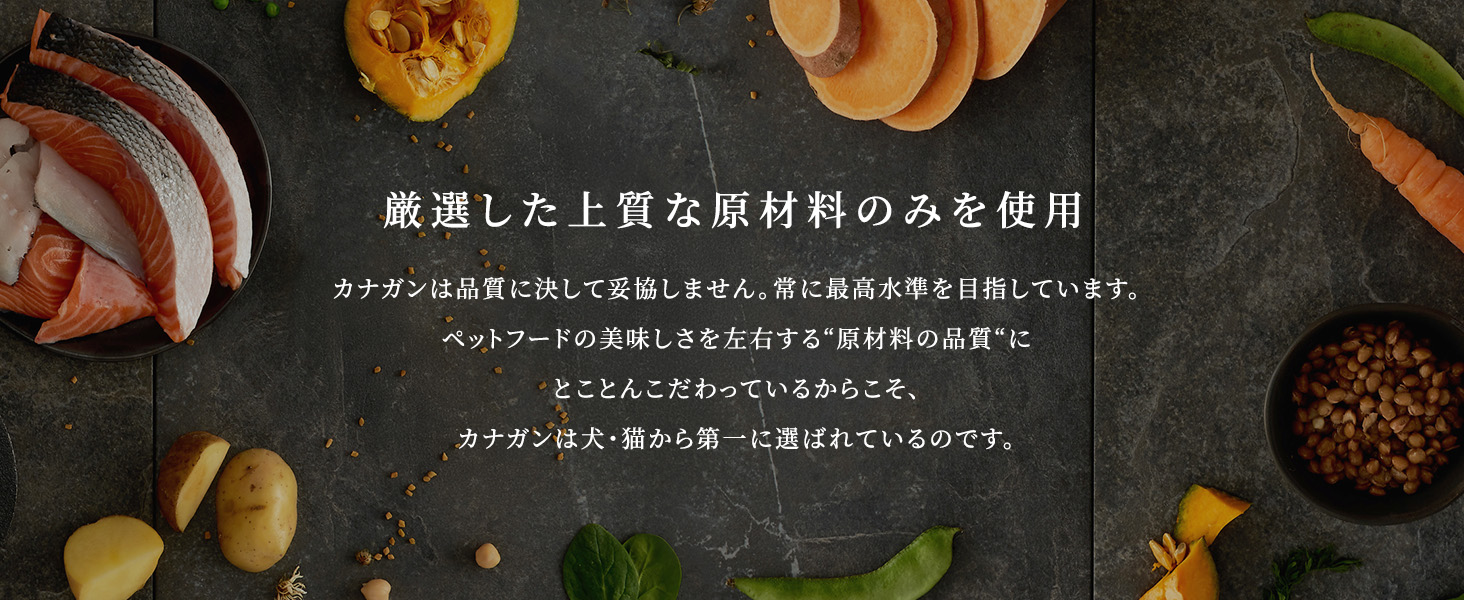 カナガン特徴1