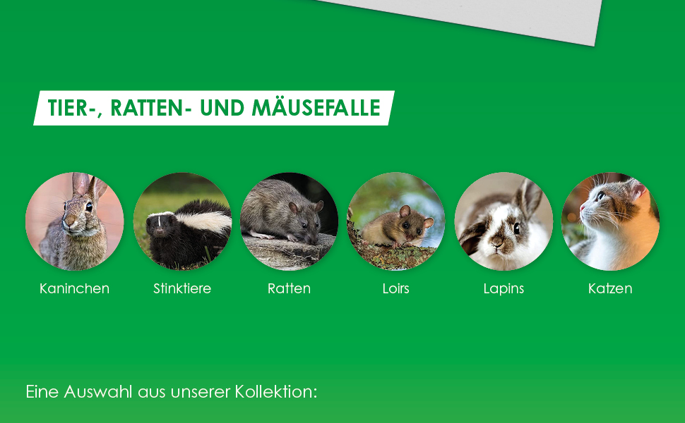 Marderfalle - Effektive und tierfreundliche Strategien