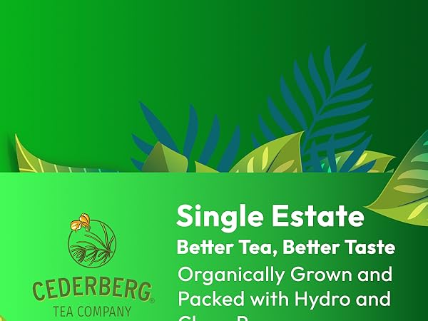 100 Tea Bags| Organic Tea From Single Origin