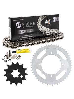 Chain And Sprocket Kit Chain Drive Kit 15/55 + DID Chain 520