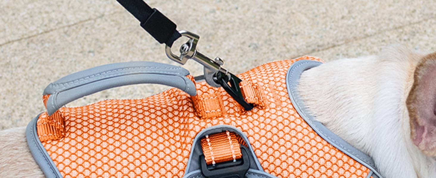 escape proof dog harness