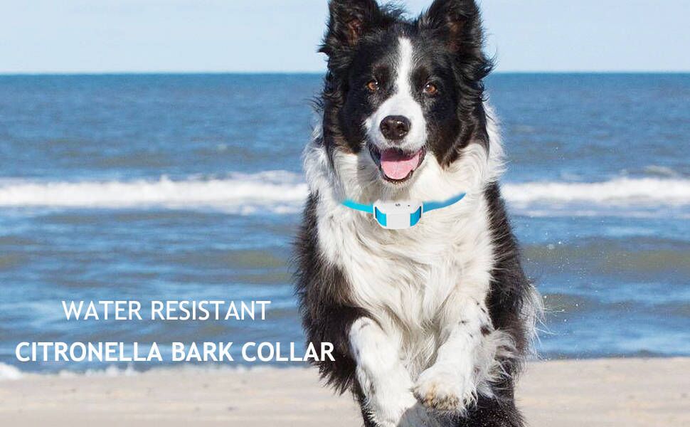 Citronella Dog Bark Collar,Anti Bark Spray Collar,Humane