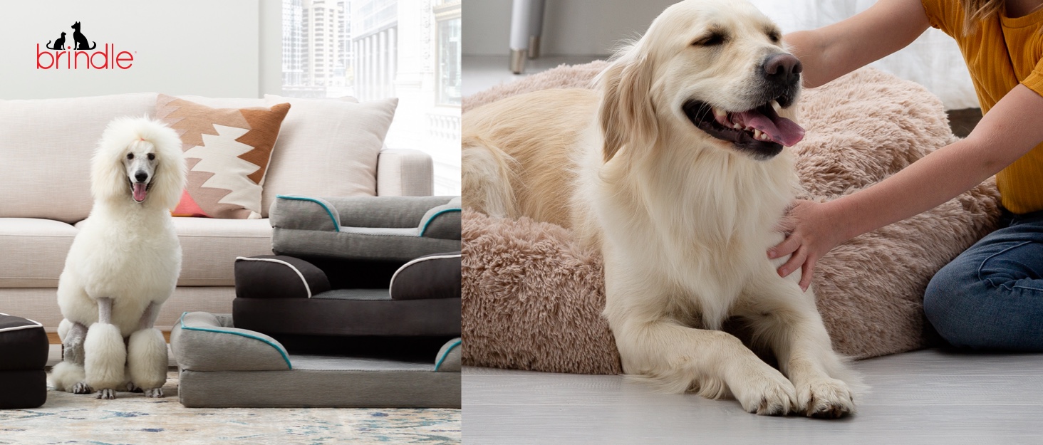 Brindle Waterproof Designer Memory Foam Pet BedRemovable