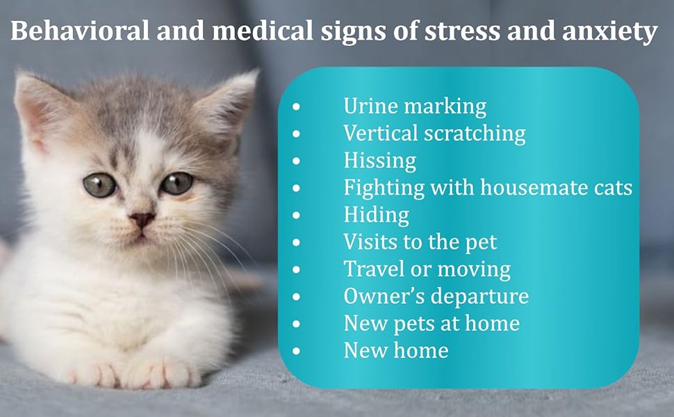 Buy VetSafe Cat Calming Spray Online at Low Prices in India Amazon.in