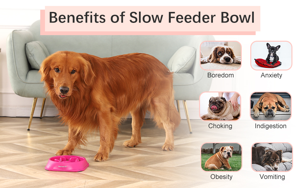 puppy feeder puppy bowl cat slow feeder wet food small dog bowls for puppies