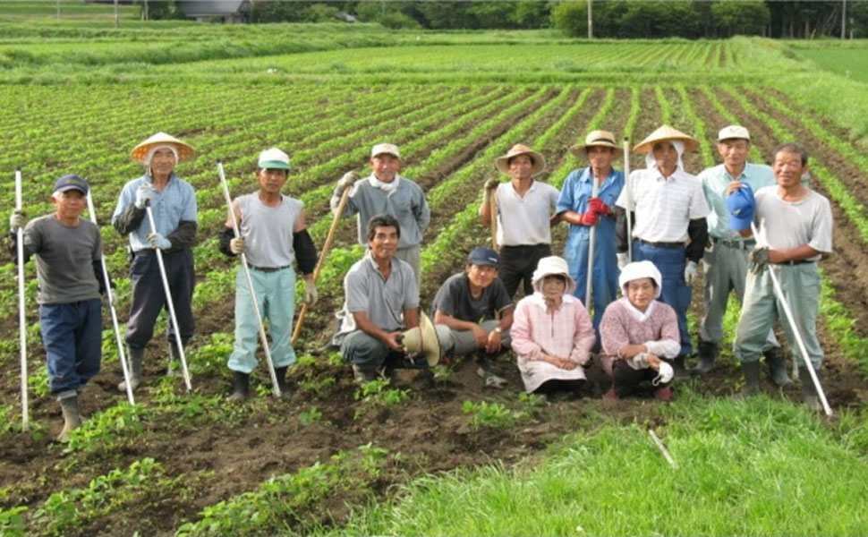 中山間地域対策ハンドブック/大成出版社/中山間地域対策研究会（単行本） 中山間地域対策ハンドブック / 中山間地域対策研究会 / 大成出版