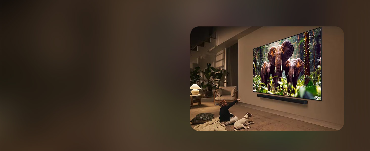 Experience Entertainment