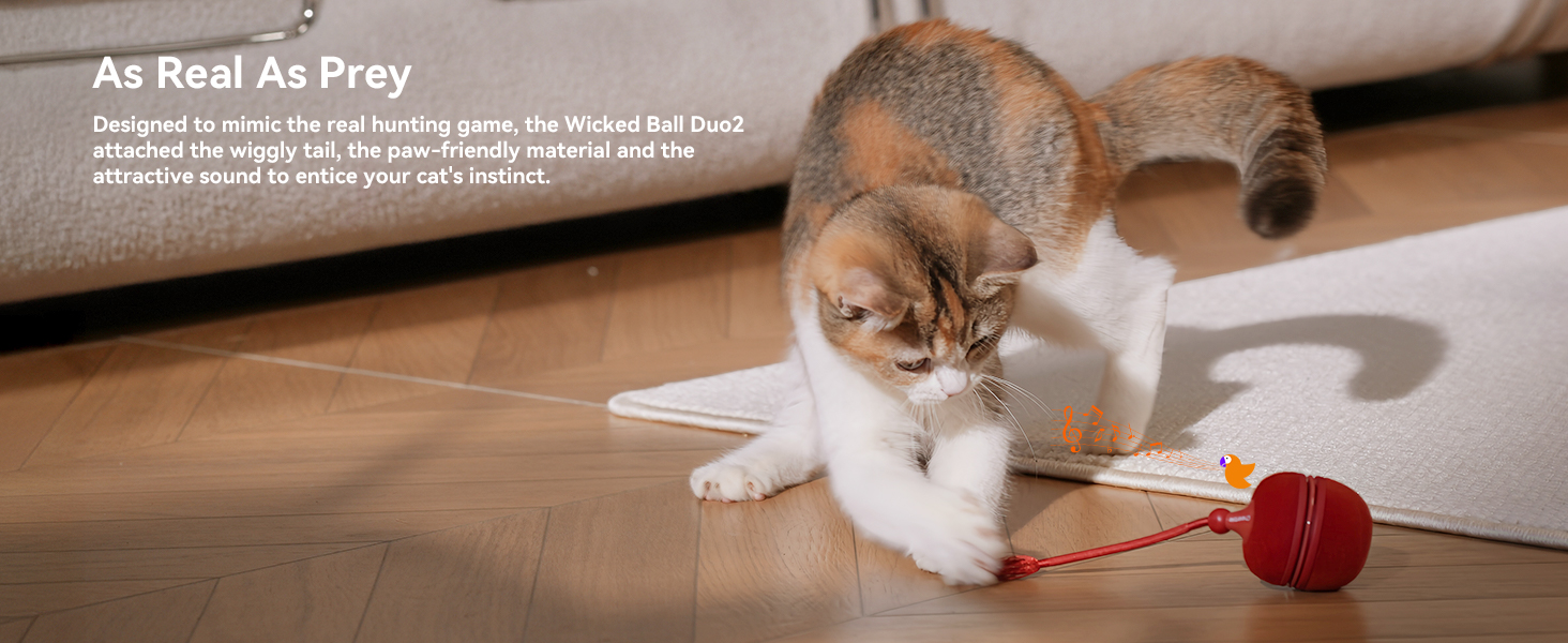 interactive cat toys