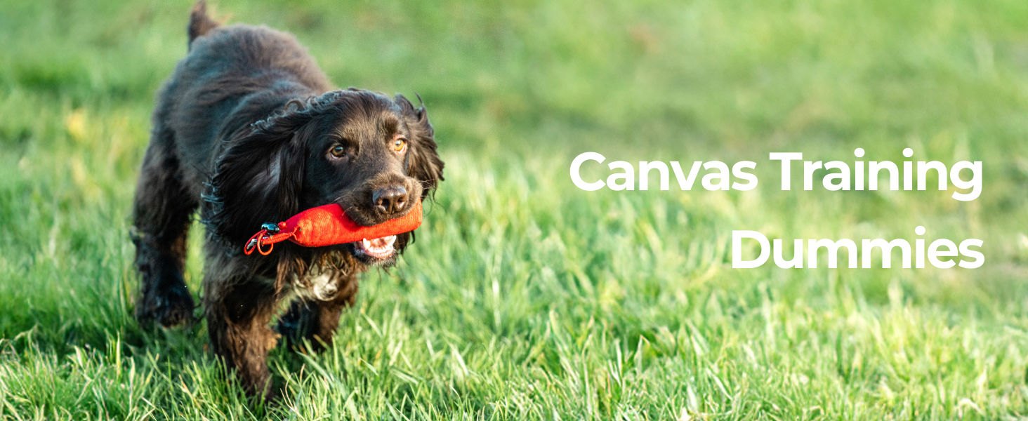 Dog & Field Puppy Training Dummies - Blue. 100g... 20 Text reads: 'Canvas Training Dummies' Series of outdoor photos showing dogs interacting with training equipment on grass.