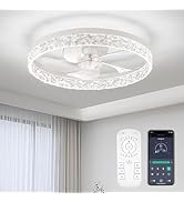FTZVRD Ceiling Fans with Lights, Flush Mount Ceiling Fan with Lights and Remote, 6 Wind Speeds Lo...