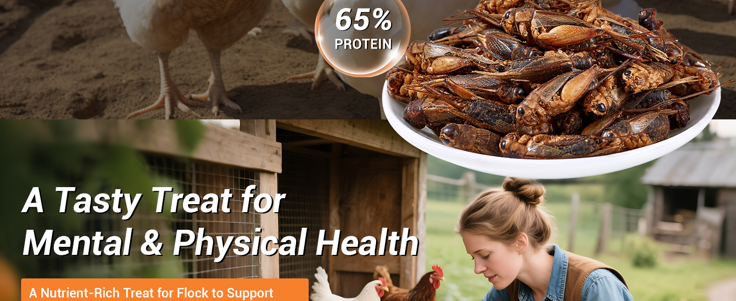 LuckyQworms Dried insects with 65% protein for poultry bird health nutrient-rich flock treat