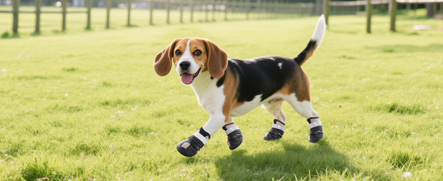 dog summer shoes