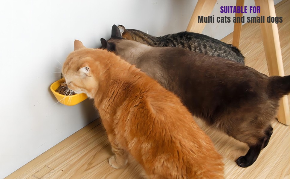 Wall Mounted Cat Food Bowl, Elevated Cat Bowls, Cat Bowls