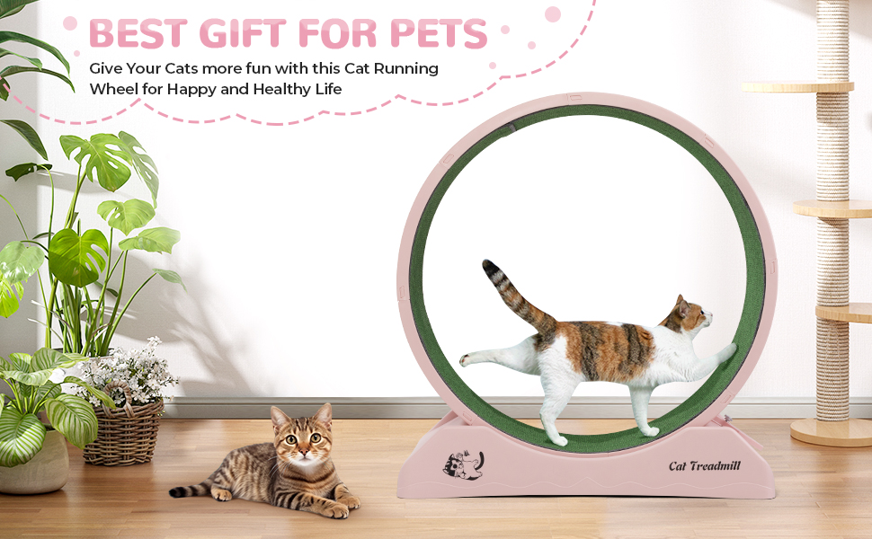 31.5" Large Cat Treadmill, Cat Exercise ... 16 cat exercise wheel