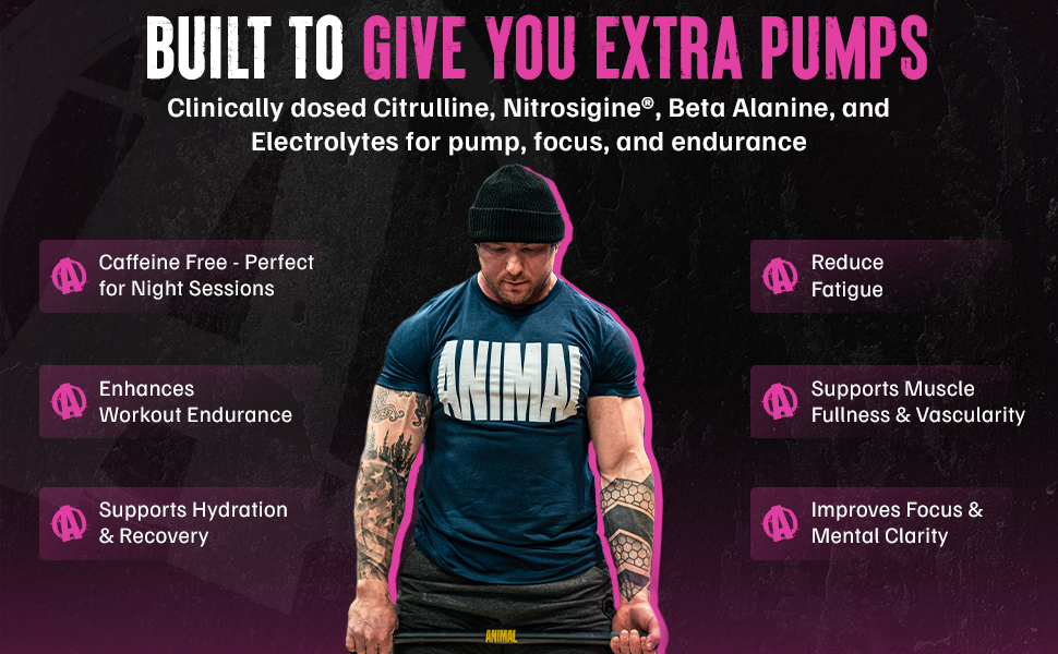 Animal Pump Non-Stim Pre-workout 