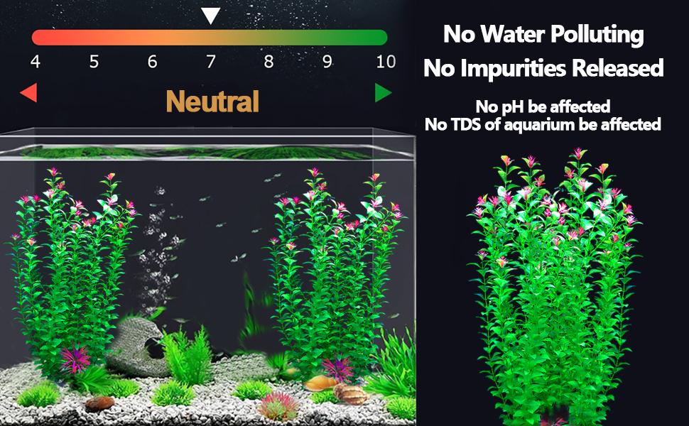 aqaurium plant