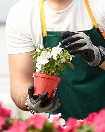garden pots