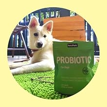 digestive aid for dogs dog supplements good bacteria for dogs pet supplements dog medicine probiotic