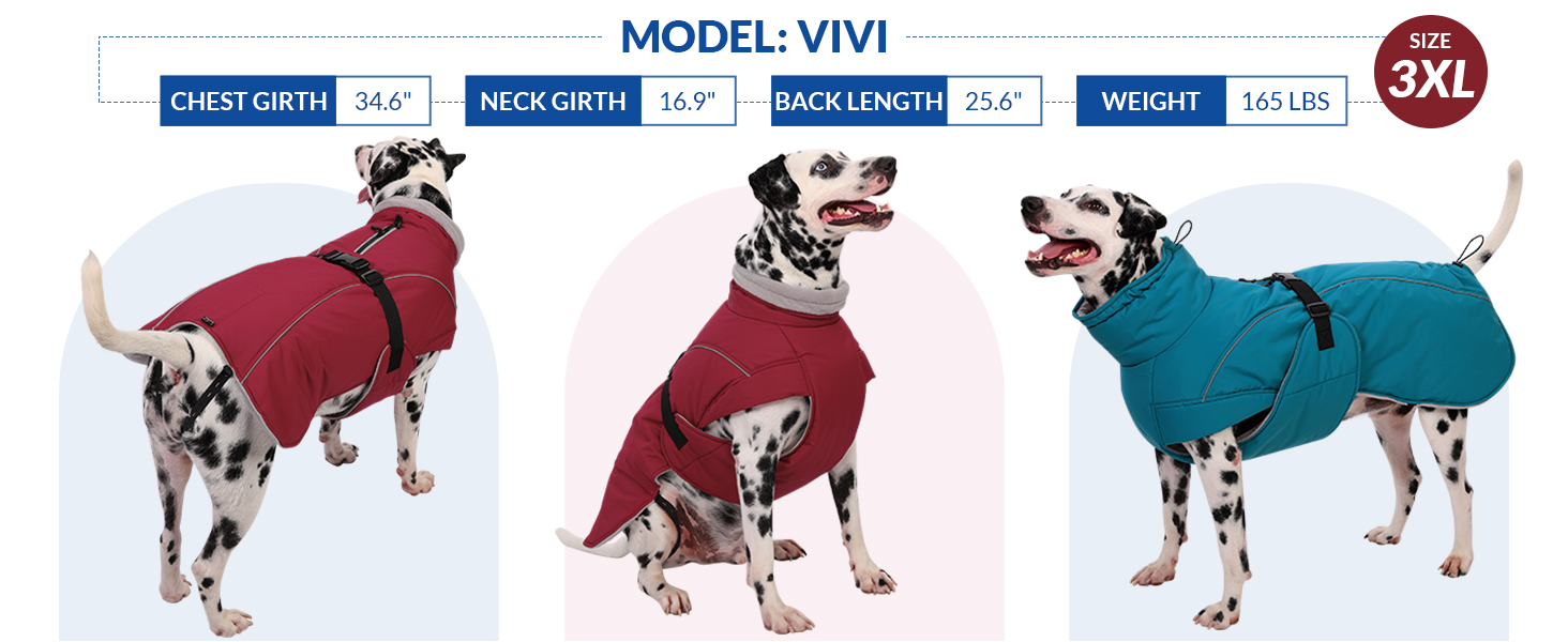 Queenmore XL Dog Coat, Winter Dog Jacket for Large Dogs