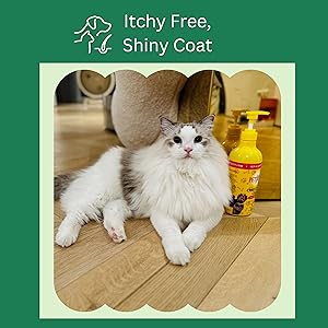 cat fish oil, cat omega 3 oil, cat supplement, cat health