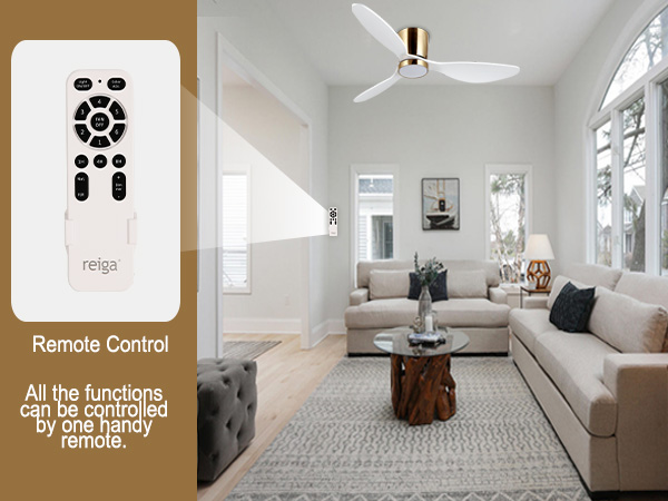 reiga 52 Inch Flush Mount White Ceiling Fan with Light