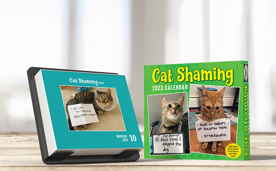 Cat Shaming 2023 DaytoDay Calendar Andrade, Pedro 9781524872731