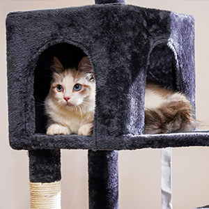 ちゃっぴー様0420 Amazon.com : Hey-brother Cat Tree with Large Hammock, Multi