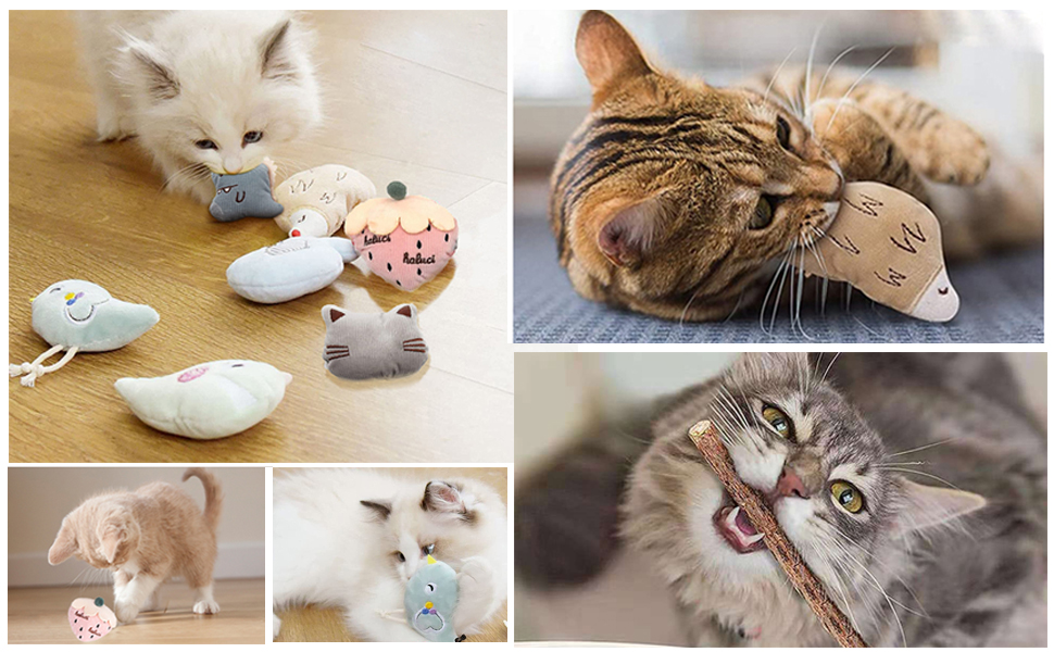Cat Catnip Toys Plush Interactive Cat Toys Cat Chew Toy,30 Pcs