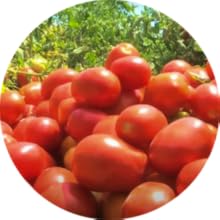 Small manufacture image 6