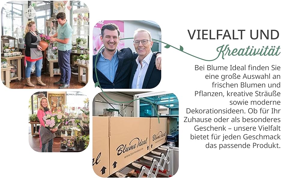 Der Text lautet „VIELFALT UND Flexibilität“. Collage von Einzelhandels- oder Geschäftsinterieurbildern, die Ladenauslagen und begehrte zeigen.