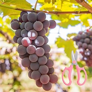 Small manufacture image 8