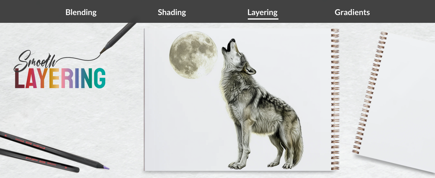 black widow spider color pencils layering