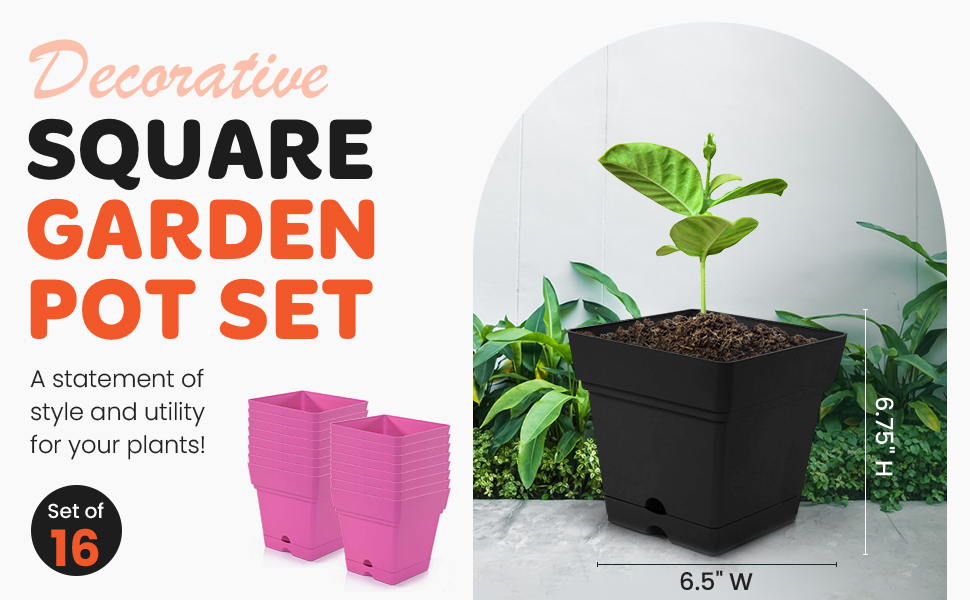 Amazon.com: Mintra Home Garden Pots - Bulk Packs (Black