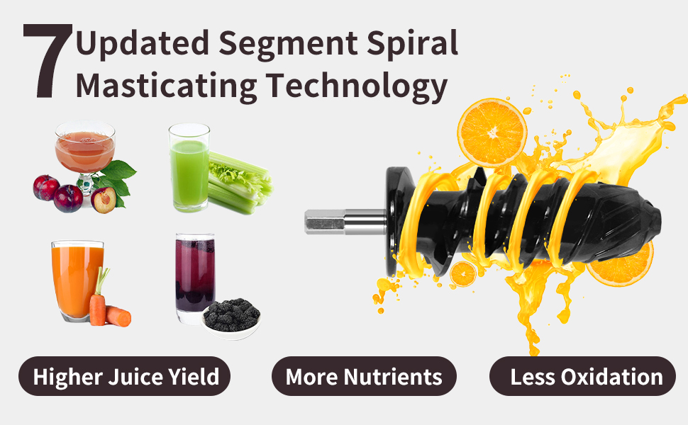 Slow Juicer Machine, Vegetable and Fruit Juicer, Cold Press Juicer