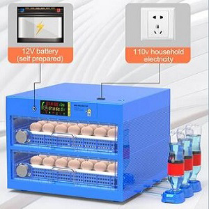 Eggs Automatic Egg Incubator