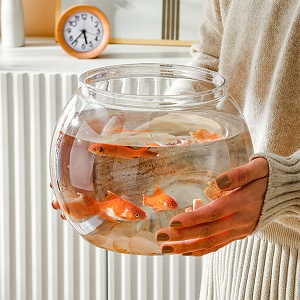 gold fish bowl