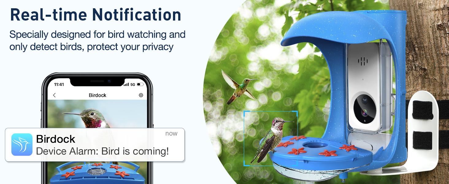BirdDock Hummingbird Feeder with Camera, Smart Hummingbird
