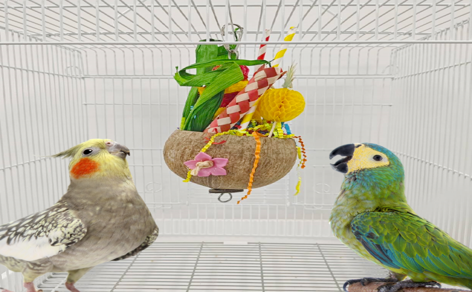 african grey parrot toys large bird toys parrot toys for medium birds small bird toys