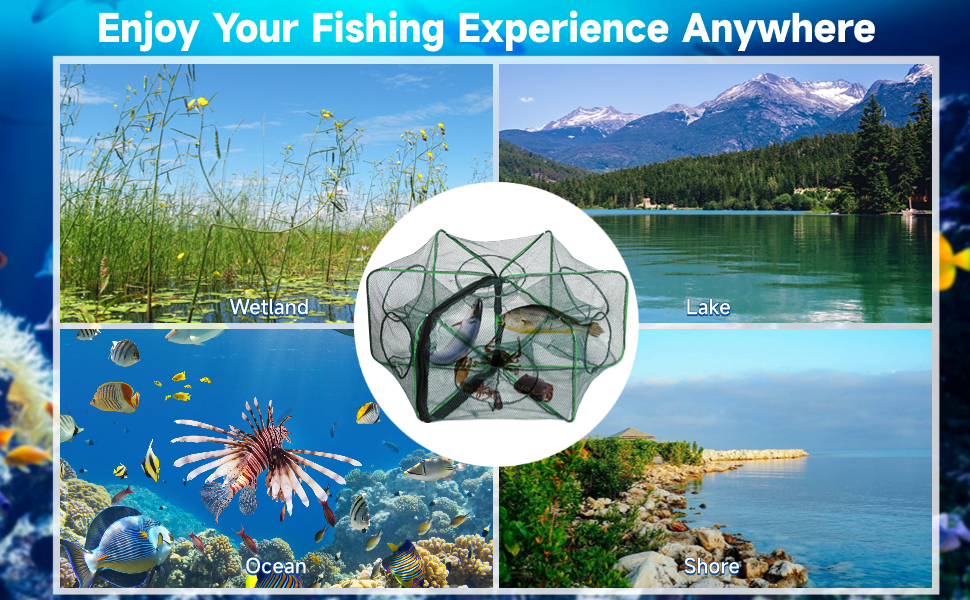 Master Fishing Traps Set, ExtraFine Net Fishing Bait Cage